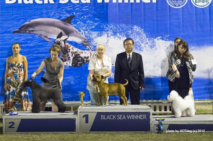 Black Sea Winner-2012